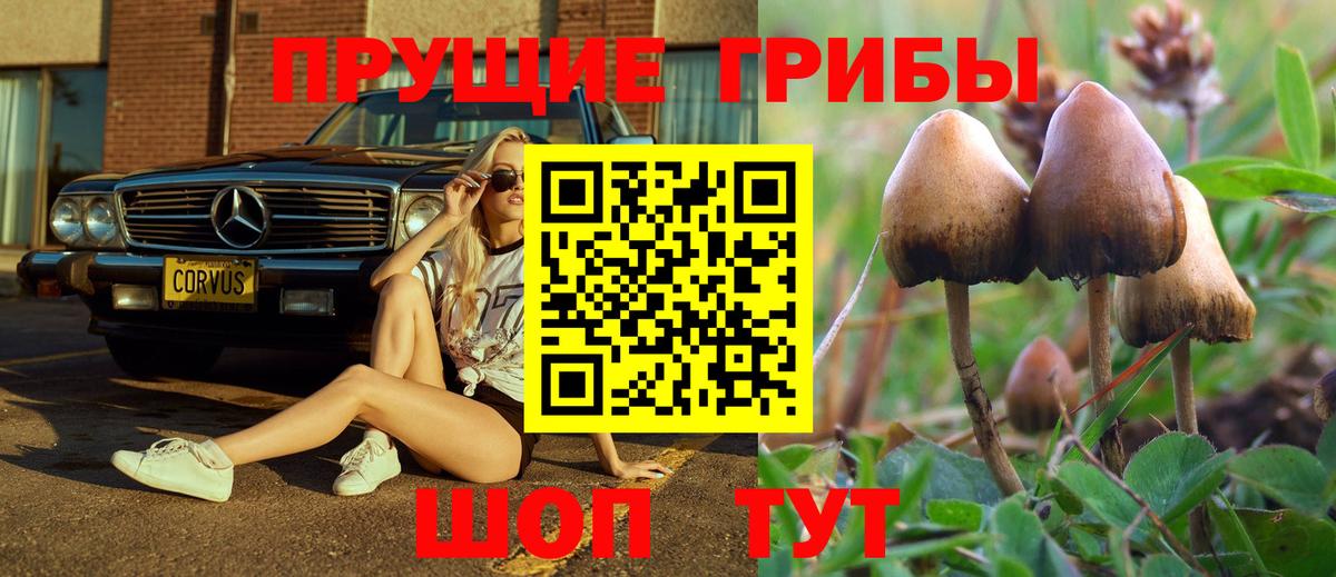 Аксай  Галлюциногенные грибы прущие грибы  Галлюциногенные грибы Psilocybe  Вход с VPN 